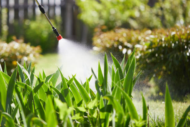 24/7 Emergency Mosquito Control experts in Cascade Valley, WA