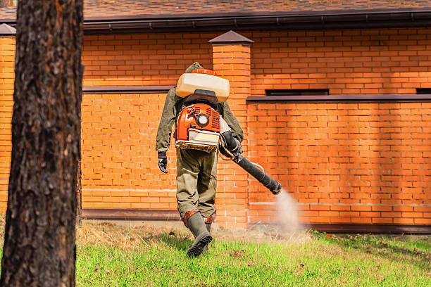 Top rated local Mosquito Control specialists in Cascade Valley, WA